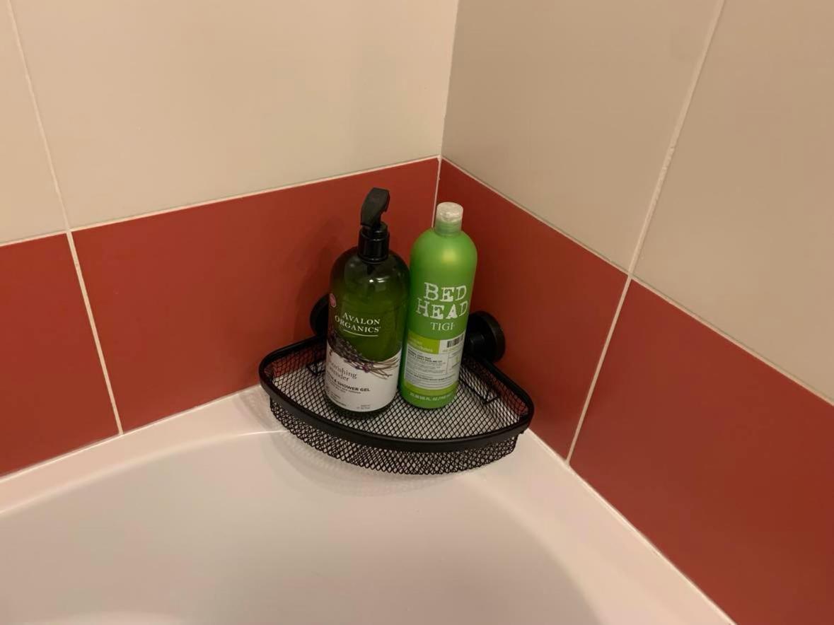 トゥールーズLe Petit Bruxelles Au Calmeアパートメント エクステリア 写真